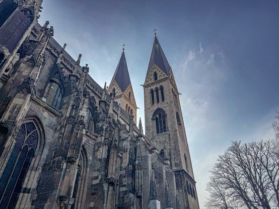 Der Dom zu Halberstadt, von der Nordseite und aus der Froschperspektive mit Blick auf das nördliche Langhaus mit Fialen und Strebepfeilern und in der Mitte des Bildes die beiden hoch in den Himmel, aufragenden Türme, am unteren Rand des Bildes, ein winterlicher Baum ohne Blätter