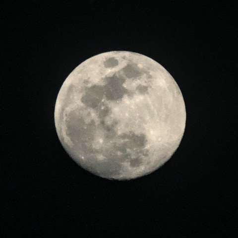 A close up photo of the almost full moon in front of a black background..