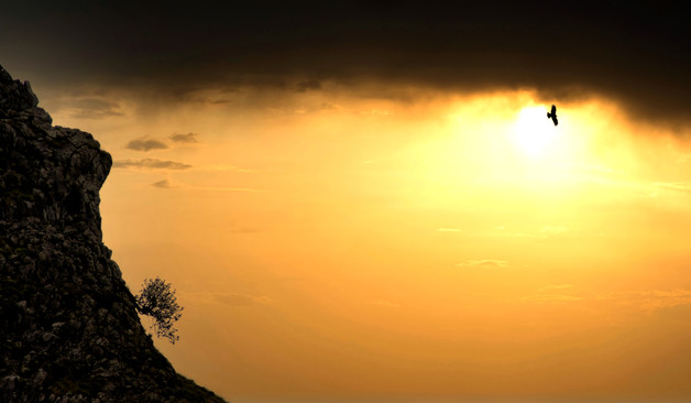 Un avvoltoio in volo nei pressi di una rupe, al tramonto