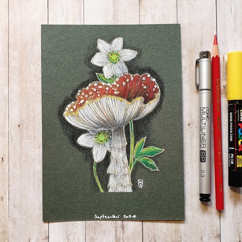 A colour drawing of a red and white Fly Agaric Mushroom with Wood Anemone, a little white wildflower. This drawing is in a cute illustrative style.
An original art work
Colour pencil and mixed media on acid free toned artist paper
5 by 7 inches (12.7 by 17.8 cm). This is a standard photo size in the UK and USA and should be easy to DIY frame.
Sold unframed