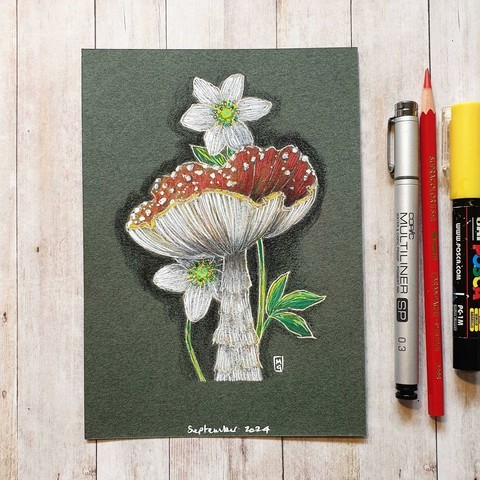 A colour drawing of a red and white Fly Agaric Mushroom with Wood Anemone, a little white wildflower. This drawing is in a cute illustrative style.
An original art work
Colour pencil and mixed media on acid free toned artist paper
5 by 7 inches (12.7 by 17.8 cm). This is a standard photo size in the UK and USA and should be easy to DIY frame.
Sold unframed