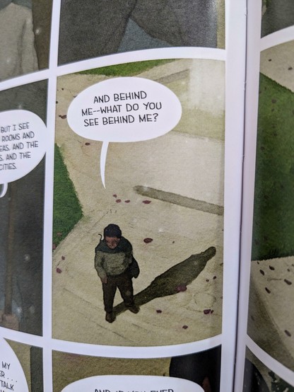 A panel from the graphic novel depicting the protagonist saying, "And behind me — what do you see behind me?" with his shadow being cast behind him.