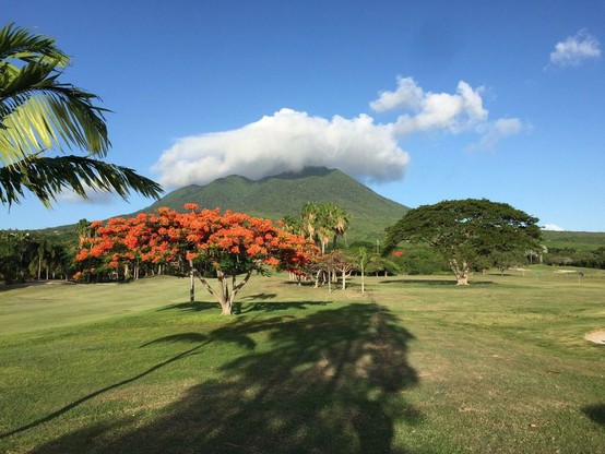 Nevis Peak with Flamboyant Trees In Bloom.jpg