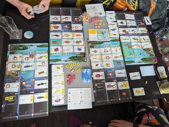A half played Finspan board game. Lots of colourful fish cards.