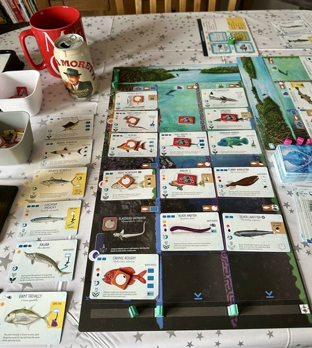 My ocean board from near the end of a game of Finspan.