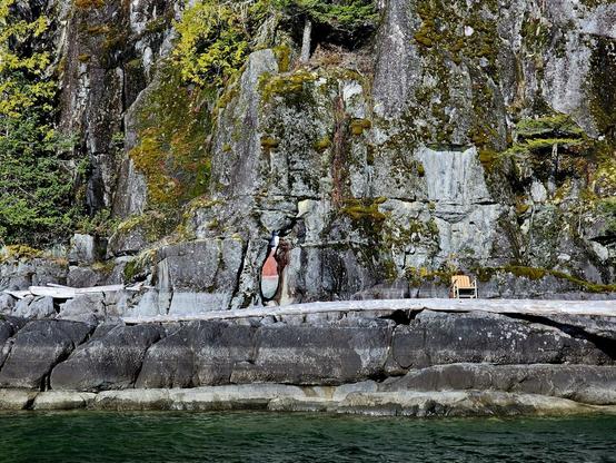 Petroglyph on western shoreline of Harrison Lake, British Columbia