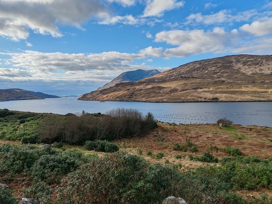 View over a fjord, looking towards the sea at its mouth. In the foreground, wild rhododendron bushes lead down to the water. Small lines of dots on the water are telltale signs of a mussel farm. A large sculpted mountain rises up in the distance from the fjord on the right-hand side. The blue sky is broken up by jagged white clouds.