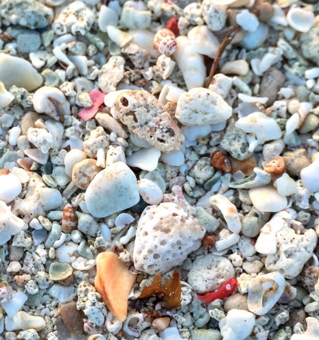 A portion of beach with sand, shells, sea glass and more.
