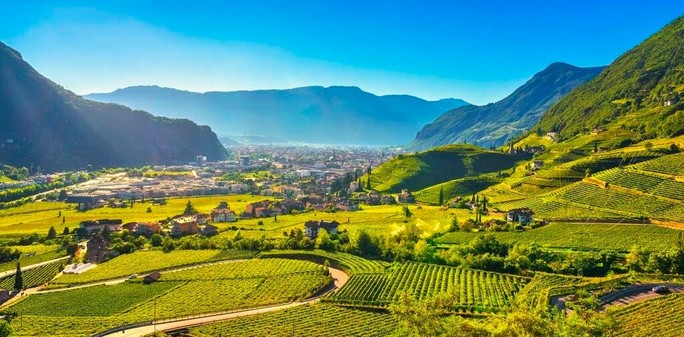 Why You Should Discover The Wine Of Italy’s Alto Adige