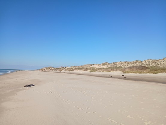 Plage sud naturiste d’Euronat à Grayan et l’Hôpital en Gironde Nord Médoc Nouvelle Aquitaine