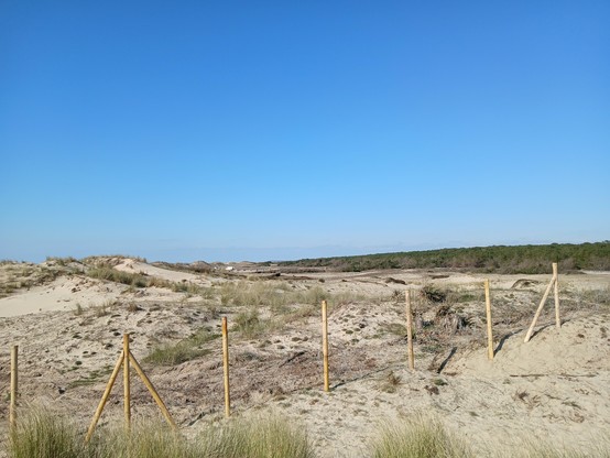 Plage sud naturiste d’Euronat à Grayan et l’Hôpital en Gironde Nord Médoc Nouvelle Aquitaine