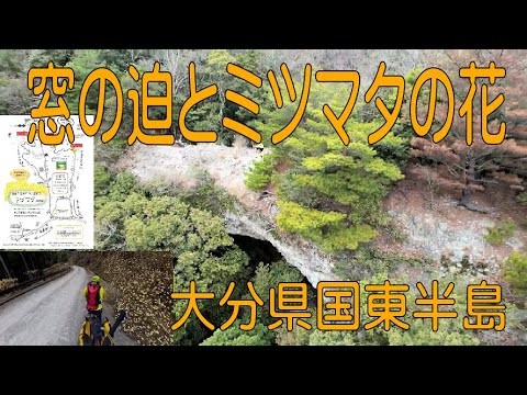 窓の迫と ミツマタの花 2025　マウンテンバイクで周る国東半島　Insta360 X4とドローン空撮