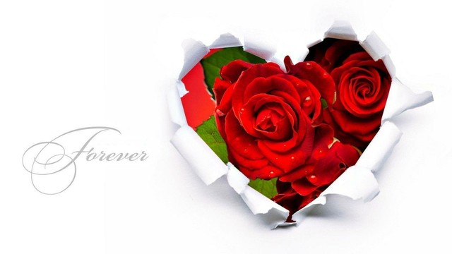 ❤️ Love Gives YOU Inner Peace ❤️.