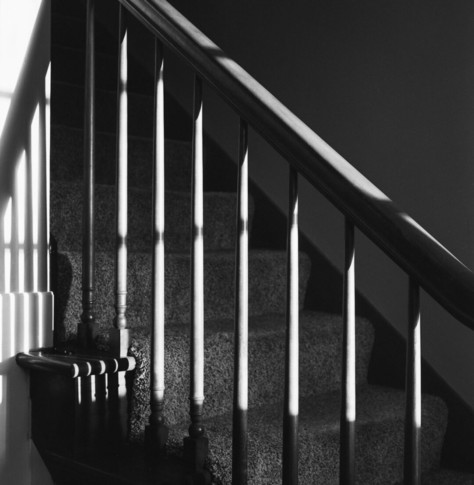 A high-contrast black and white photo of a carpeted staircase with the sun shining brightly on a portion of the rods.