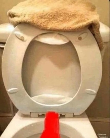 Photo of a toilet with the seat up. An orange-ish towel or piece of carpet has been slung across the uppermost area of the lifted seat, and a red cloth of some kind has been placed in the middle of the hinge. 

There is a distinct resemblance to Donald Trump, with the orange fabric resembling his hair, the red fabric resembling his tie, and the gaping hole in the seat resembling his pursed mouth when he is shouting.