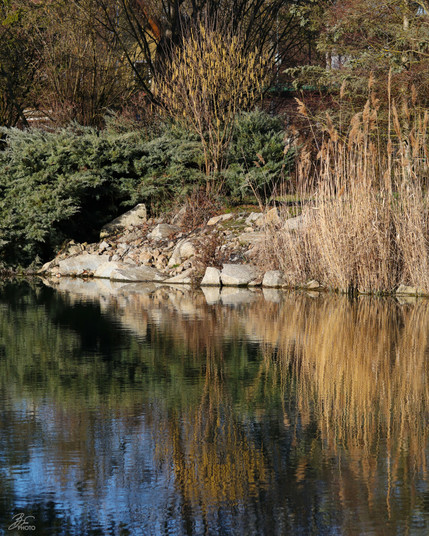 Nature’s Mirror