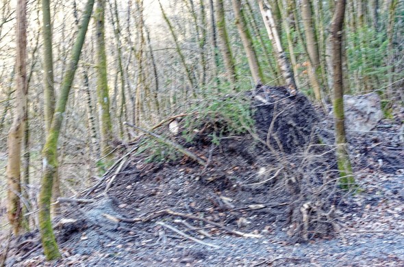 Am Einstieg eines Waldweges sind Äste, Wurzel und Erde hoch aufgeschüttet. Der Weg selbst ist nicht mehr zu sehen.
