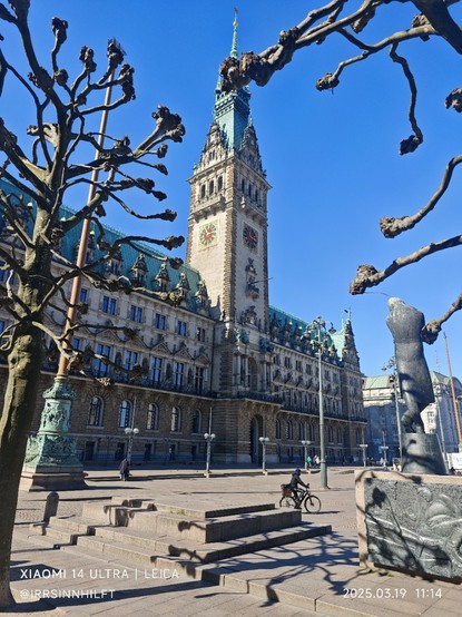 Das Rathaus in Hamburg vor starhlend blauem Himmel durch das Geäst zweier Bäume fotografiert.