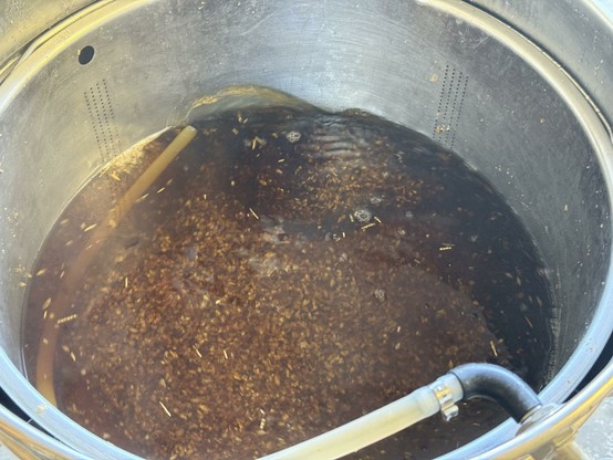 Wort recirculating and it is nice and d clear, dark amber.