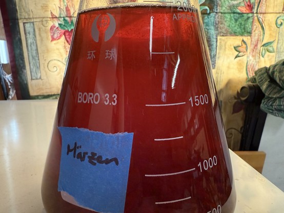 An Erlenmeyer flask of 2L of nearly red wort
