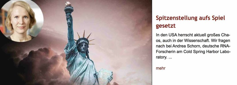 Foto der US-Freiheitsstatue, wie sie gerade von dunklen Wolken eingehüllt wird. Oben links als rundes Inset eingesetzt ein Porträt der RNA-Forscherin Andrea Schorn. Rechts vom Foto Überschrift "Spitzenstellung aufs Spiel gesetzt" des im Post verlinkten Artikels, gefolgt von dessen Vorspann.