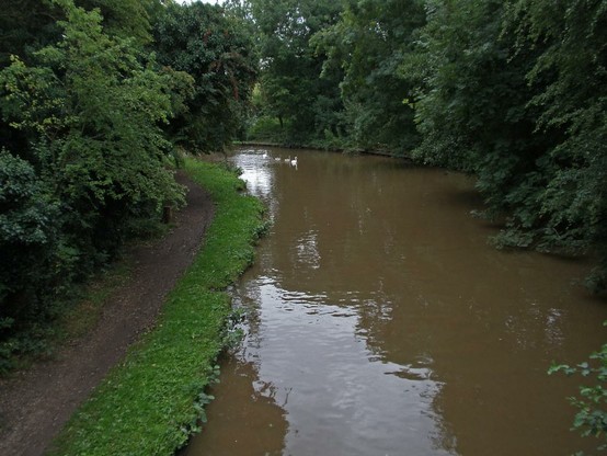 A photo titled "Coventry Canal (Main Line): Hawkesbury to Fazeley", taken near Bridge 38, Outwards Bridge by amandabhslater on Flickr.