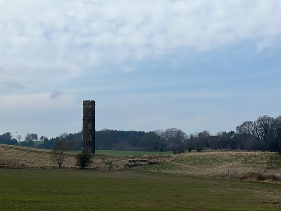 View of Cammo Tower over some fields. Woods in the background.