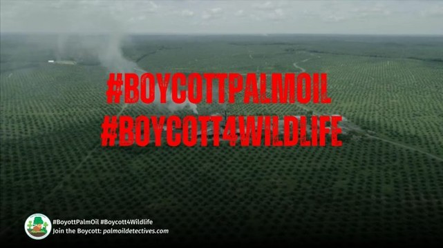 Ecosystems Sell Dirt Cheap for Palm Oil Filled Snickers and KitKat