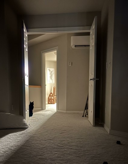 Norman, a sleek black shorthair cat, is sitting facing an open doorway that's flooded with light, almost as if he's about to get beamed up by aliens/the heavens