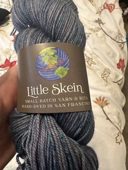 A hand-dyed skein of yarn in shades of gray with hints of blue, wrapped with a label from "Little Skein." The label features a globe design and states "Small Batch Yarn & Kits, Hand-Dyed in San Francisco." The