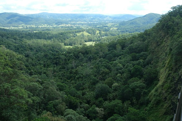View from Mapleton Falls Lookout. There is a deep valley densely covered with green trees. In the distance are rolling hills and a partially cloudy sky.