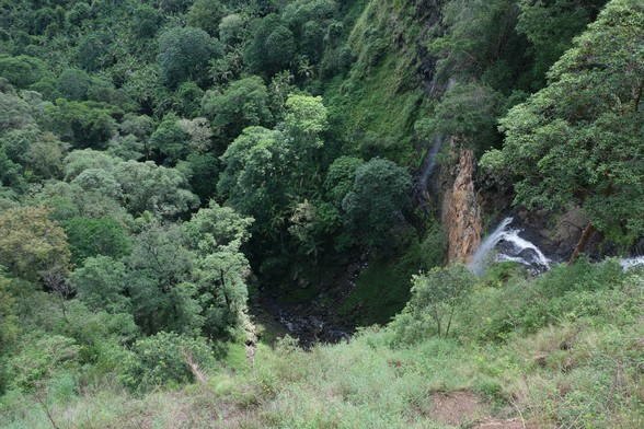 View of Mapleton Falls from Mapleton Falls Lookout. There is a long drop to the creek below. A small cascade flows over rocks on the right into the creek below.