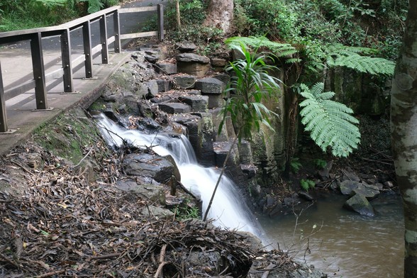 Pencil Creek. A small cascade over hexagonal rocks. The water has a nice blurred effect from a longer shutter speed. There is a tree fern at the back of the photo.