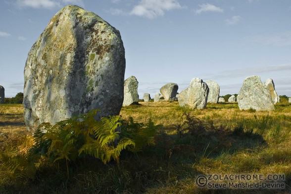 Photograph of a group of ancient standing stones (menhirs) in an open field.