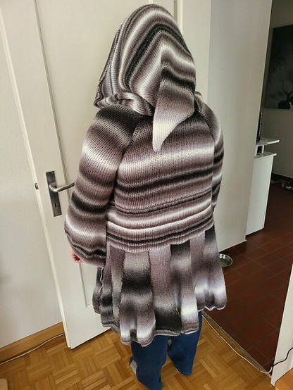 A person stands with their back to the camera, wearing a hooded, Tunisian crochet garment featuring a gradient pattern in shades of gray, black, and white. The coat has a pleated design at the hem and a large, draping hood that obscures the person's head. The scene is set indoors, with a wooden floor and a white door.