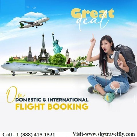 Skytravelfly offers Great Deals on Domestic and International flights