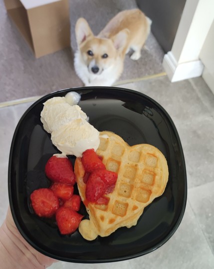 A small black glass side plate with a heart shaped Swedish waffle on it, topped with chunks of strawberry jam and clotted cream ice cream. In the background a corgi fittingly named Waffle staring lovingly up at you, or maybe just at the plate. There's also a lush cardboard box awaiting destruction on the floor.