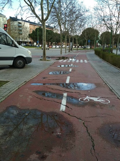 Foto del carril bici situado enfrente del Alcampo, se ve un carril bici que transcurre por la acera, con pavimento de color rojo, tiene a un lado una hilera de arboles y al otro un trozo de acera y unos setos. Esta en muy mal estado, con grietas y abultamientos provocados por las raíces de los arboles cercanos. Además esta lleno de charcos