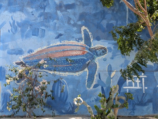 Mural de tortuga nadando en medio de cactus. El mural está en medio de plantas con flores