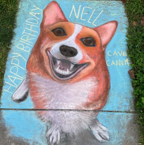 A chalk drawing of a smiling corgi on pavement, with the words "Happy Birthday Nell" and "cave canem" written around the edges.