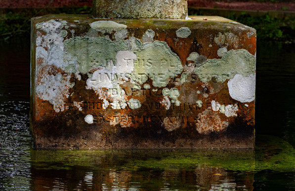 Base of a stone cross in the pool of a well, covered in coloured lichen and with an inscription which reads "IN THIS PLACE PAVLINUS THE BISHOP BAPTIZED THREE THOUSAND NORTHVMBRIANS - EASTER DCXXVII"" He didn't of course, they got the place wrong. He baptised 3000 at York  (St Petri) rather than Holystone (St Petra"). A simple translation error from St Bede's writing.