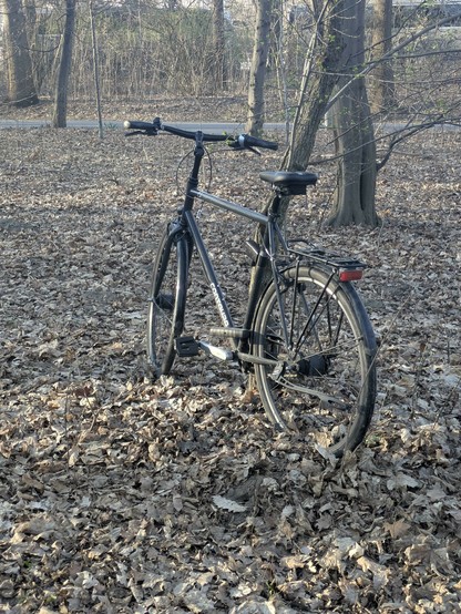 Foto eines schwarzen Fahrrads, angeschlossen an einen Baum