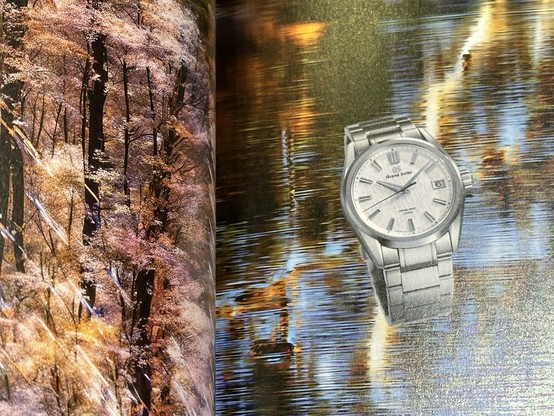 Pages dedicated to the White Birch/SLGA009