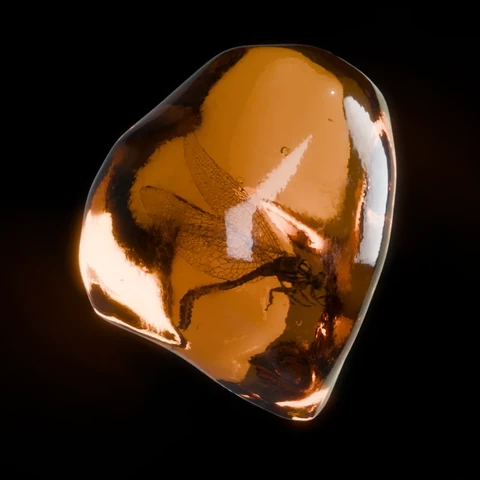 3D rendering of a dragonfly-like insect entombed in a chunk of amber.