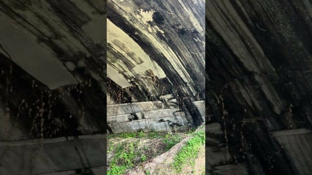 【戦跡めぐり】掩体壕1「旧海軍出水航空基地跡」【2025/03/25】鹿児島県出水市平和町