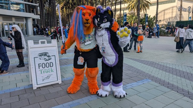 Zander, the orange lion with an orange mane with a blue stripe, standing with Blazi, a black and purple wolf with white paws and belly