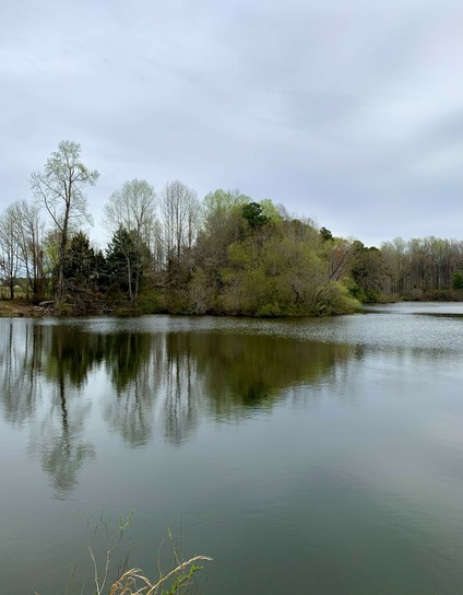 A view of a lake on a cloudy day, with a forest lining the distant shore. The trees are reflected on the water, their images shimmering gently in the wind-stirred surface.