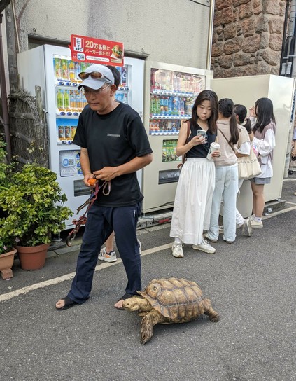 Ein dunkel gekleideter, älterer Mann begleitet eine Schildkröte in den Straßen Enoshimas, einer Insel in der Nähe von Tokio. 
Im Hintergrund fotografiert eine junge Frau mit ihrem Telefon die Kröte.
Hinter ihr stehen Mädchen vor einem von 2 Getränkeautomaten und studieren die Anzeige.