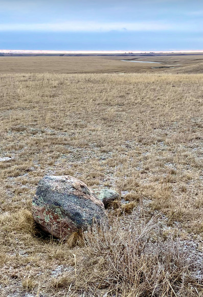 Flat top boulder overlooking a native prairie grassland on the top of the Bow River bank