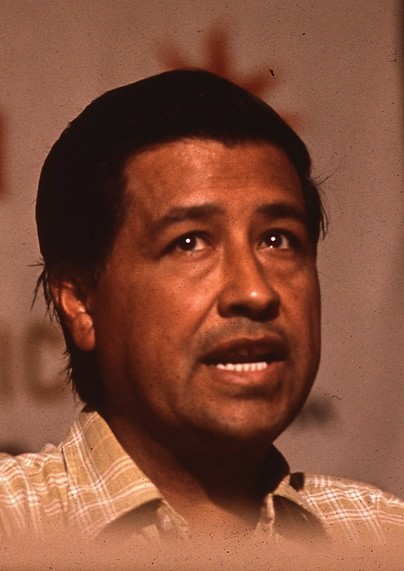 Chavez photographed in 1972. By Keyes, Cornelius M. (Cornelius Michael), 1944-, Photographer (NARA record: 8463989) - U.S. National Archives and Records Administration, Public Domain, https://commons.wikimedia.org/w/index.php?curid=16184557